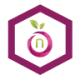 Namefruits bunt 96x96