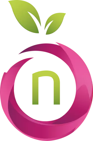 Namefruits Logo