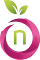 Namefruits Logo