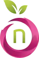 Namefruits Logo